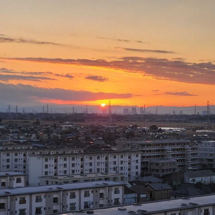 画像337