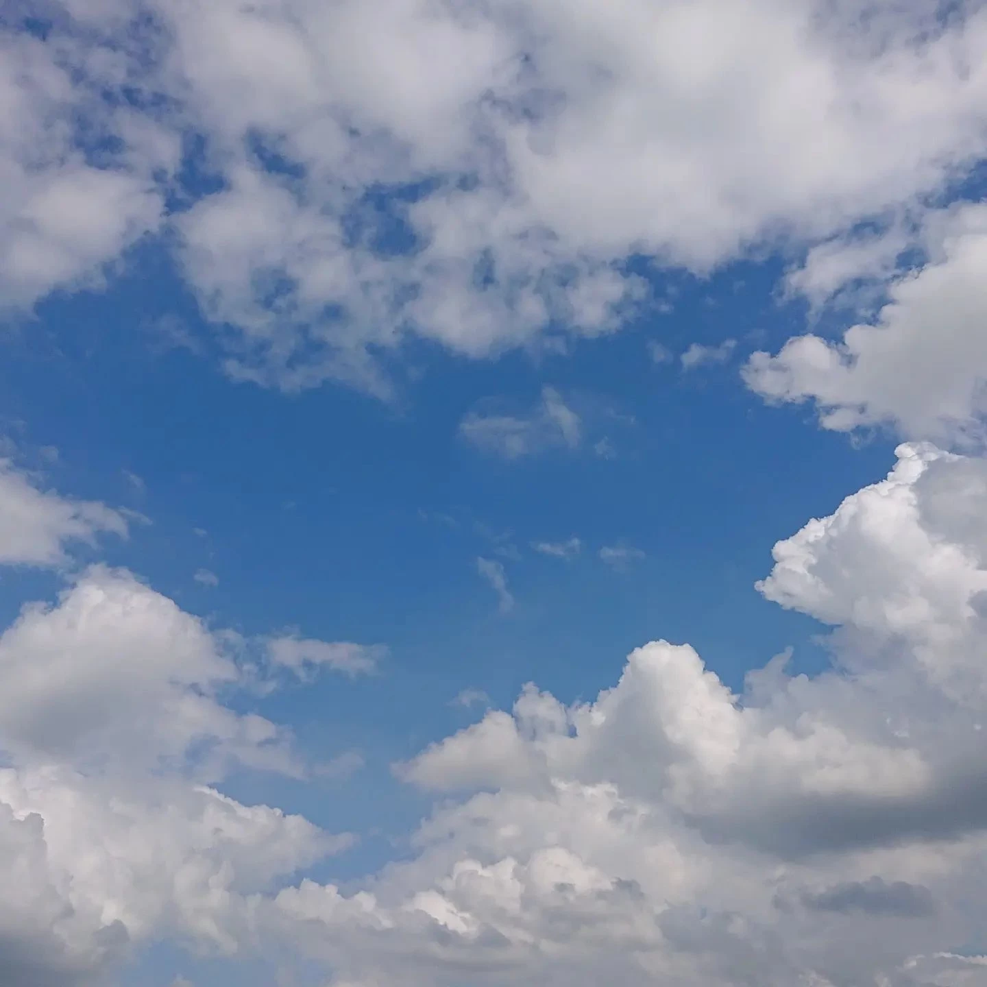 画像454